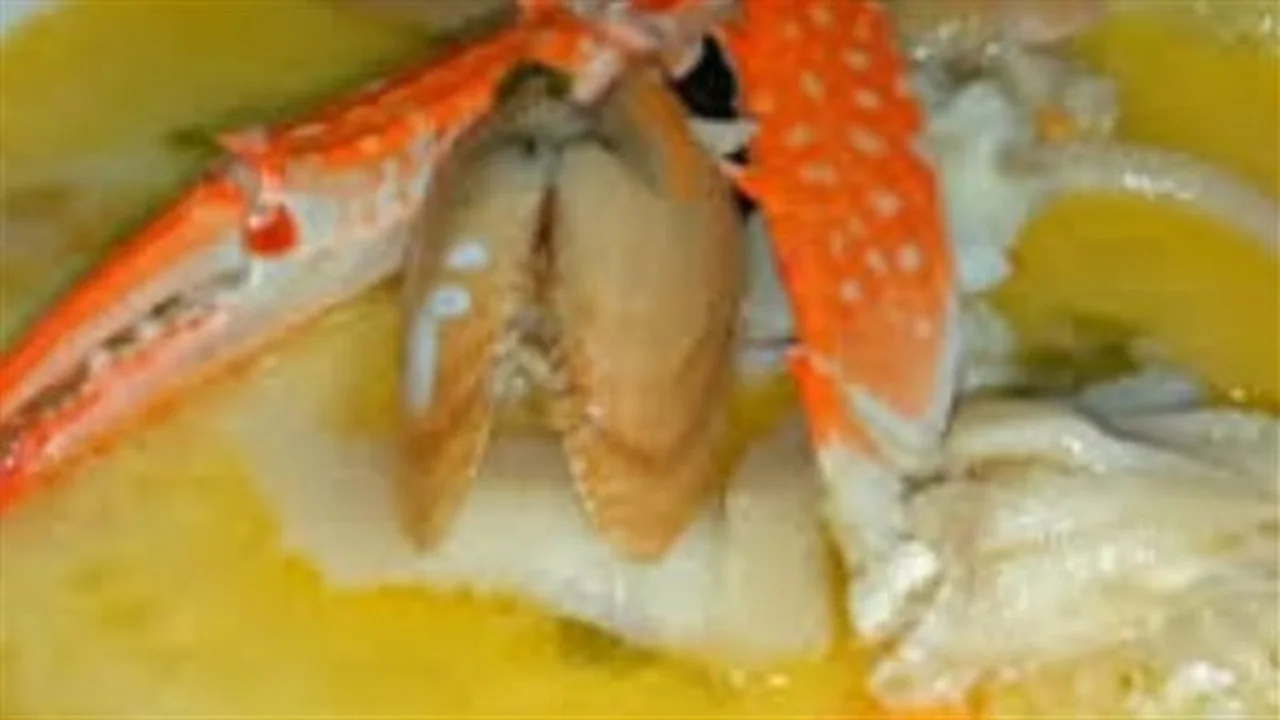 أسرار المطاعم.. مكونات سرية لشوربة السي فود بالكريمة تمنحك مذاقاً احترافياً في المنزل